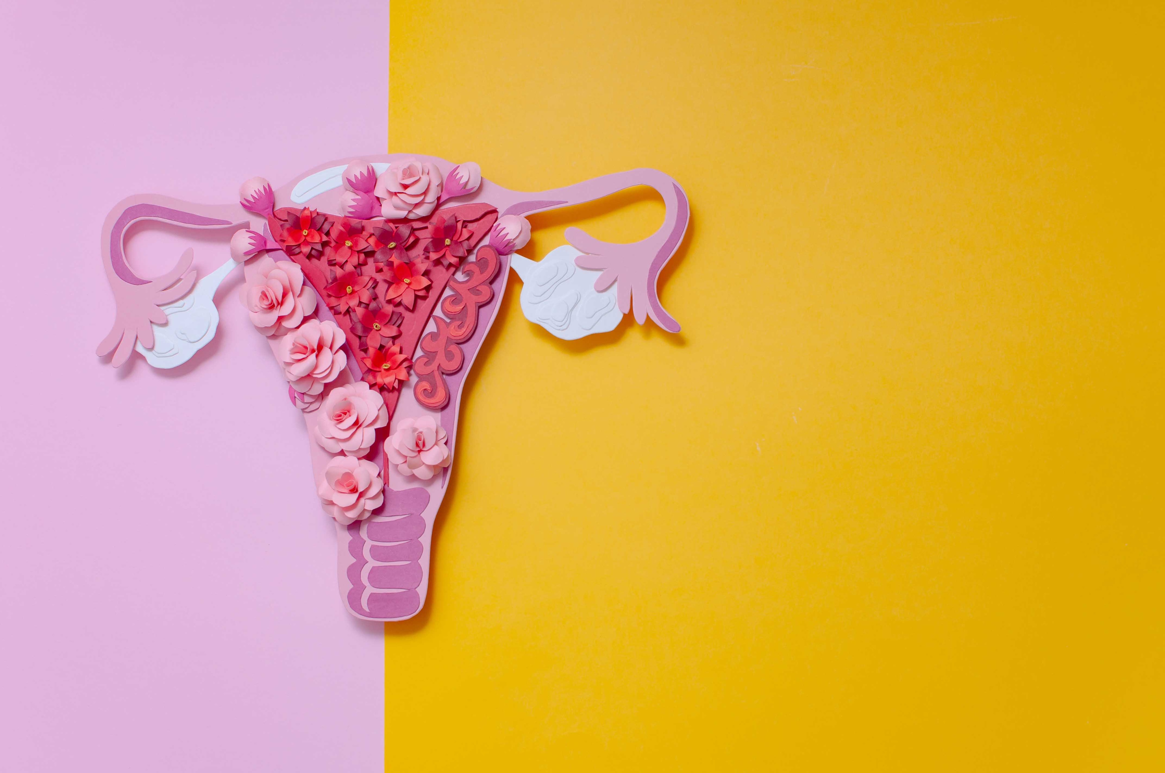 O que é endometriose? O que é endometriose?